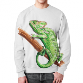 full_print_sweatshirt с принтом Зеленый хамелеон на ветке в Санкт-Петербурге,  |  | 