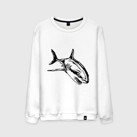 Мужской свитшот хлопок с принтом Акула в Санкт-Петербурге, 100% хлопок |  | shark | акула | животные | рыба | хищник
