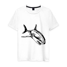 Мужская футболка хлопок с принтом Акула в Санкт-Петербурге, 100% хлопок | прямой крой, круглый вырез горловины, длина до линии бедер, слегка спущенное плечо. | shark | акула | животные | рыба | хищник