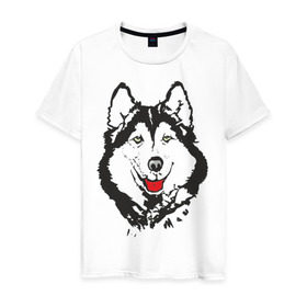 Мужская футболка хлопок с принтом Хаски в Санкт-Петербурге, 100% хлопок | прямой крой, круглый вырез горловины, длина до линии бедер, слегка спущенное плечо. | dog | husky | животные | пес | песики | собака | хаски | хаски бандит