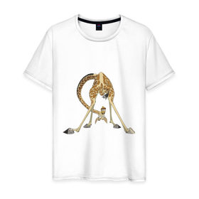 Мужская футболка хлопок с принтом Мадагаскар (3) в Санкт-Петербурге, 100% хлопок | прямой крой, круглый вырез горловины, длина до линии бедер, слегка спущенное плечо. | madagascar | жираф | мадагаскар