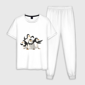 Мужская пижама хлопок с принтом Мадагаскар (8) в Санкт-Петербурге, 100% хлопок | брюки и футболка прямого кроя, без карманов, на брюках мягкая резинка на поясе и по низу штанин
 | madagascar | мадагаскар | пингвины