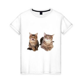 Женская футболка хлопок с принтом Кошка и котёнок в Санкт-Петербурге, 100% хлопок | прямой крой, круглый вырез горловины, длина до линии бедер, слегка спущенное плечо | 