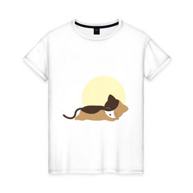 Женская футболка хлопок с принтом Спящий котенок в Санкт-Петербурге, 100% хлопок | прямой крой, круглый вырез горловины, длина до линии бедер, слегка спущенное плечо | 