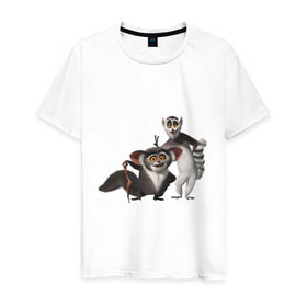 Мужская футболка хлопок с принтом Мадагаскар (11) в Санкт-Петербурге, 100% хлопок | прямой крой, круглый вырез горловины, длина до линии бедер, слегка спущенное плечо. | Тематика изображения на принте: 
