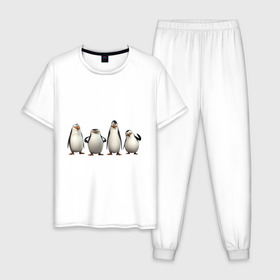 Мужская пижама хлопок с принтом Пингвины Мадагаскар в Санкт-Петербурге, 100% хлопок | брюки и футболка прямого кроя, без карманов, на брюках мягкая резинка на поясе и по низу штанин
 | пингвин