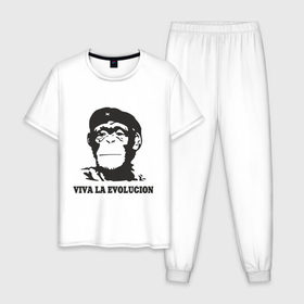 Мужская пижама хлопок с принтом Viva la evolucion в Санкт-Петербурге, 100% хлопок | брюки и футболка прямого кроя, без карманов, на брюках мягкая резинка на поясе и по низу штанин
 | Тематика изображения на принте: 