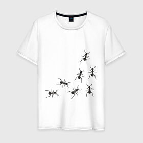 Мужская футболка хлопок с принтом муравьи в Санкт-Петербурге, 100% хлопок | прямой крой, круглый вырез горловины, длина до линии бедер, слегка спущенное плечо. | Тематика изображения на принте: животные | звери | насекомые