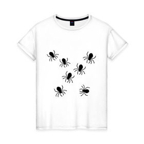 Женская футболка хлопок с принтом пауки в Санкт-Петербурге, 100% хлопок | прямой крой, круглый вырез горловины, длина до линии бедер, слегка спущенное плечо | Тематика изображения на принте: животные | насекомые | паучки