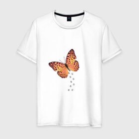 Мужская футболка хлопок с принтом Реалистичная бабочка 2 в Санкт-Петербурге, 100% хлопок | прямой крой, круглый вырез горловины, длина до линии бедер, слегка спущенное плечо. | Тематика изображения на принте: 