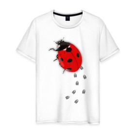 Мужская футболка хлопок с принтом Реалистичная божья коровка в Санкт-Петербурге, 100% хлопок | прямой крой, круглый вырез горловины, длина до линии бедер, слегка спущенное плечо. | божья коровка | животные | насекомые