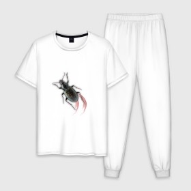 Мужская пижама хлопок с принтом Реалистичный жук в Санкт-Петербурге, 100% хлопок | брюки и футболка прямого кроя, без карманов, на брюках мягкая резинка на поясе и по низу штанин
 | Тематика изображения на принте: жук | насекомые | прикол | прикольные картинки | реалистичный жук