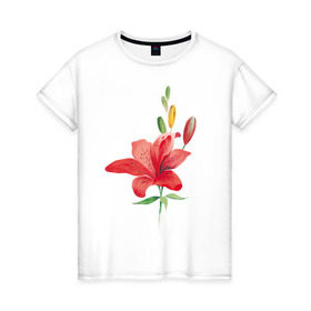 Женская футболка хлопок с принтом Red lily в Санкт-Петербурге, 100% хлопок | прямой крой, круглый вырез горловины, длина до линии бедер, слегка спущенное плечо | 8 марта | букет | красная лилия | лилия | международный женский день | цветы