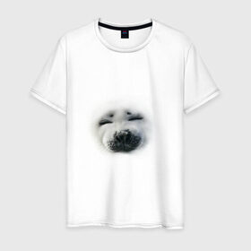 Мужская футболка хлопок с принтом Пушистый морской котик в Санкт-Петербурге, 100% хлопок | прямой крой, круглый вырез горловины, длина до линии бедер, слегка спущенное плечо. | животные | звери | мордочка | нос