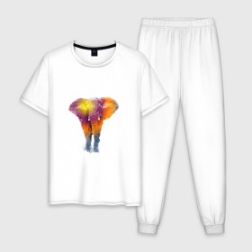Мужская пижама хлопок с принтом Слон watercolor в Санкт-Петербурге, 100% хлопок | брюки и футболка прямого кроя, без карманов, на брюках мягкая резинка на поясе и по низу штанин
 | слон
