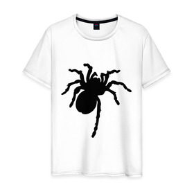 Мужская футболка хлопок с принтом Паук (spider) в Санкт-Петербурге, 100% хлопок | прямой крой, круглый вырез горловины, длина до линии бедер, слегка спущенное плечо. | Тематика изображения на принте: насекомые | паутина | паучок | черная вдова | черный паук