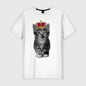 Мужская футболка премиум с принтом Meow kitten в Санкт-Петербурге, 92% хлопок, 8% лайкра | приталенный силуэт, круглый вырез ворота, длина до линии бедра, короткий рукав | kitten | meow | meow kitten | киса | кот | котик | котэ | котяра | кошка | прикольный кот