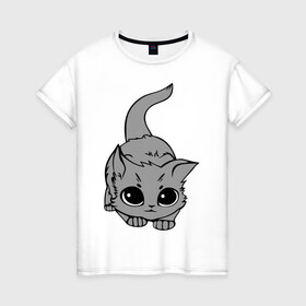 Женская футболка хлопок с принтом Котенок в Санкт-Петербурге, 100% хлопок | прямой крой, круглый вырез горловины, длина до линии бедер, слегка спущенное плечо | домашние животные | кот | коты | кошка | кошки