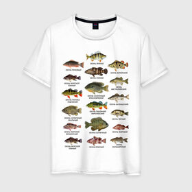 Мужская футболка хлопок с принтом Окуни. в Санкт-Петербурге, 100% хлопок | прямой крой, круглый вырез горловины, длина до линии бедер, слегка спущенное плечо. | для рыбака | окуни | окунь | подарок рыбаку | рыбаку | рыбалка