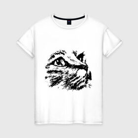 Женская футболка хлопок с принтом Образ кошки в Санкт-Петербурге, 100% хлопок | прямой крой, круглый вырез горловины, длина до линии бедер, слегка спущенное плечо | киса | котенок | кошка
