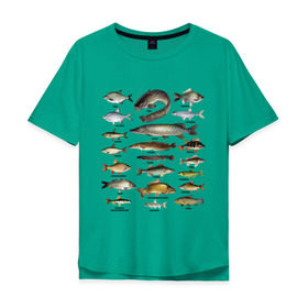 Мужская футболка хлопок Oversize с принтом Популярные виды рыб в Санкт-Петербурге, 100% хлопок | свободный крой, круглый ворот, “спинка” длиннее передней части | рыба | рыбалка | рыбачить | туризм | туристические | туристу | улов