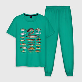 Мужская пижама хлопок с принтом Популярные виды рыб в Санкт-Петербурге, 100% хлопок | брюки и футболка прямого кроя, без карманов, на брюках мягкая резинка на поясе и по низу штанин
 | рыба | рыбалка | рыбачить | туризм | туристические | туристу | улов