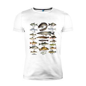 Мужская футболка премиум с принтом Популярные виды рыб в Санкт-Петербурге, 92% хлопок, 8% лайкра | приталенный силуэт, круглый вырез ворота, длина до линии бедра, короткий рукав | рыба | рыбалка | рыбачить | туризм | туристические | туристу | улов
