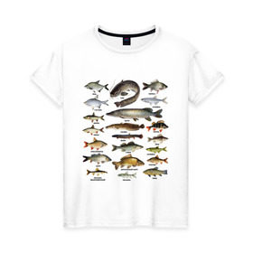 Женская футболка хлопок с принтом Популярные виды рыб в Санкт-Петербурге, 100% хлопок | прямой крой, круглый вырез горловины, длина до линии бедер, слегка спущенное плечо | рыба | рыбалка | рыбачить | туризм | туристические | туристу | улов