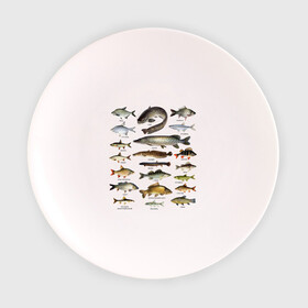 Тарелка 3D с принтом Популярные виды рыб в Санкт-Петербурге, фарфор | диаметр - 210 мм
диаметр для нанесения принта - 120 мм | рыба | рыбалка | рыбачить | туризм | туристические | туристу | улов