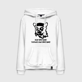 Мужская толстовка хлопок с принтом Збагойствие, только збагойствие в Санкт-Петербурге, френч-терри, мягкий теплый начес внутри (100% хлопок) | карман-кенгуру, эластичные манжеты и нижняя кромка, капюшон с подкладом и шнурком | збагоен | збагойствие | интернет приколы | лемур | лемур с красными глазами | мем | мемы | озтынь | остынь | прикольные картинки | спокоен | спокойно | спокойствие | узбагойся | успокойся