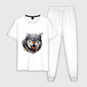 Мужская пижама хлопок с принтом Волк в Санкт-Петербурге, 100% хлопок | брюки и футболка прямого кроя, без карманов, на брюках мягкая резинка на поясе и по низу штанин
 | animals | mountain | wolf | волк | животные | прикольные картинки