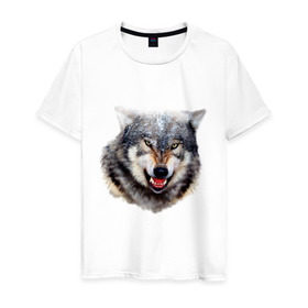 Мужская футболка хлопок с принтом Волк в Санкт-Петербурге, 100% хлопок | прямой крой, круглый вырез горловины, длина до линии бедер, слегка спущенное плечо. | animals | mountain | wolf | волк | животные | прикольные картинки