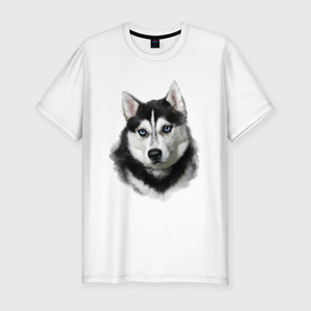 Мужская футболка премиум с принтом Хаски в Санкт-Петербурге, 92% хлопок, 8% лайкра | приталенный силуэт, круглый вырез ворота, длина до линии бедра, короткий рукав | animals | dog | mountain | животные | прикольные картинки | собака | хаски