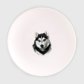 Тарелка 3D с принтом Хаски в Санкт-Петербурге, фарфор | диаметр - 210 мм
диаметр для нанесения принта - 120 мм | animals | dog | mountain | животные | прикольные картинки | собака | хаски
