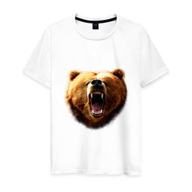 Мужская футболка хлопок с принтом Медведь в Санкт-Петербурге, 100% хлопок | прямой крой, круглый вырез горловины, длина до линии бедер, слегка спущенное плечо. | animals | bear | mountain | животные | медведь | прикольные картинки