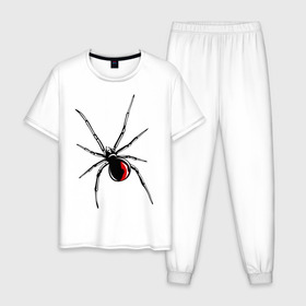 Мужская пижама хлопок с принтом Черная вдова в Санкт-Петербурге, 100% хлопок | брюки и футболка прямого кроя, без карманов, на брюках мягкая резинка на поясе и по низу штанин
 | паук | тарантул | черная вдова | черная вдованасекомые
