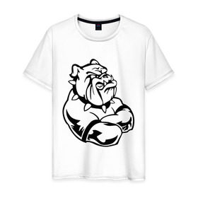 Мужская футболка хлопок с принтом Бульдог в Санкт-Петербурге, 100% хлопок | прямой крой, круглый вырез горловины, длина до линии бедер, слегка спущенное плечо. | бульдог | пес | силовой спор | собака | спорт