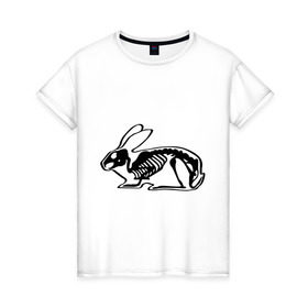 Женская футболка хлопок с принтом Рентген зайца в Санкт-Петербурге, 100% хлопок | прямой крой, круглый вырез горловины, длина до линии бедер, слегка спущенное плечо | Тематика изображения на принте: скелет