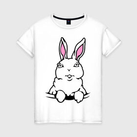 Женская футболка хлопок с принтом Зайчик в кармашке в Санкт-Петербурге, 100% хлопок | прямой крой, круглый вырез горловины, длина до линии бедер, слегка спущенное плечо | белый кролик | животные | зайка | зайчик в кармашке | кролик