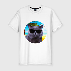 Мужская футболка премиум с принтом Котэ на пляже в Санкт-Петербурге, 92% хлопок, 8% лайкра | приталенный силуэт, круглый вырез ворота, длина до линии бедра, короткий рукав | кот | котэ | лето | мем | очки | пальма | пляж | солнце
