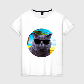 Женская футболка хлопок с принтом Котэ на пляже в Санкт-Петербурге, 100% хлопок | прямой крой, круглый вырез горловины, длина до линии бедер, слегка спущенное плечо | кот | котэ | лето | мем | очки | пальма | пляж | солнце