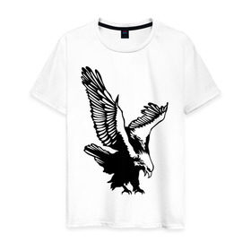Мужская футболка хлопок с принтом Орлиный размах крыльев в Санкт-Петербурге, 100% хлопок | прямой крой, круглый вырез горловины, длина до линии бедер, слегка спущенное плечо. | взлет | кондор | коршун | орел | полет | птица | сокол