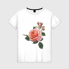 Женская футболка хлопок с принтом Розовая роза в Санкт-Петербурге, 100% хлопок | прямой крой, круглый вырез горловины, длина до линии бедер, слегка спущенное плечо | девушкам | розовая роза | цветок