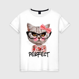Женская футболка хлопок с принтом Perfect в Санкт-Петербурге, 100% хлопок | прямой крой, круглый вырез горловины, длина до линии бедер, слегка спущенное плечо | perfect | бантик | животное | киса | кот | очки