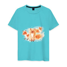 Мужская футболка хлопок с принтом Лисички в Санкт-Петербурге, 100% хлопок | прямой крой, круглый вырез горловины, длина до линии бедер, слегка спущенное плечо. | fox | акварель | животные | лисы | мило