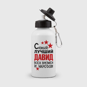 Бутылка спортивная с принтом Самый лучший Давид в Санкт-Петербурге, металл | емкость — 500 мл, в комплекте две пластиковые крышки и карабин для крепления | времен и народов | лучший | самый