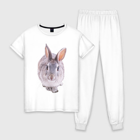 Женская пижама хлопок с принтом Кролик в Санкт-Петербурге, 100% хлопок | брюки и футболка прямого кроя, без карманов, на брюках мягкая резинка на поясе и по низу штанин | заяц | кролик | крольчёнок | крольчишка