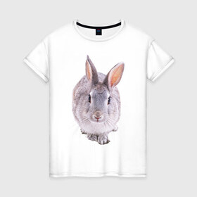 Женская футболка хлопок с принтом Кролик в Санкт-Петербурге, 100% хлопок | прямой крой, круглый вырез горловины, длина до линии бедер, слегка спущенное плечо | заяц | кролик | крольчёнок | крольчишка