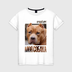 Женская футболка хлопок с принтом Американский булли в Санкт-Петербурге, 100% хлопок | прямой крой, круглый вырез горловины, длина до линии бедер, слегка спущенное плечо | drug | американский булли | порода | собака