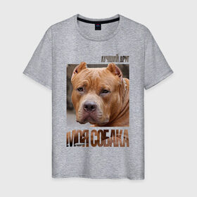 Мужская футболка хлопок с принтом Американский булли в Санкт-Петербурге, 100% хлопок | прямой крой, круглый вырез горловины, длина до линии бедер, слегка спущенное плечо. | drug | американский булли | порода | собака